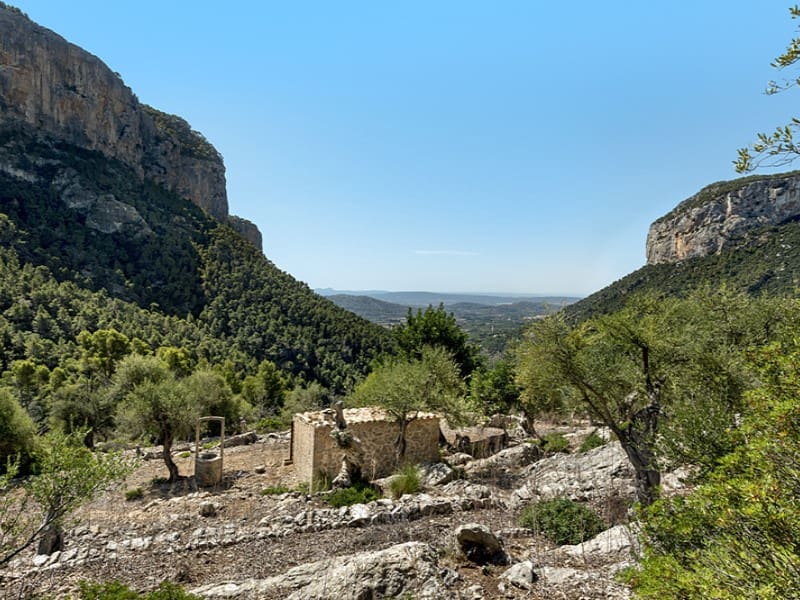 3 soverom Finca/Herregård til salgs i Alaro - € 2 500 000 (Ref: 9166088)