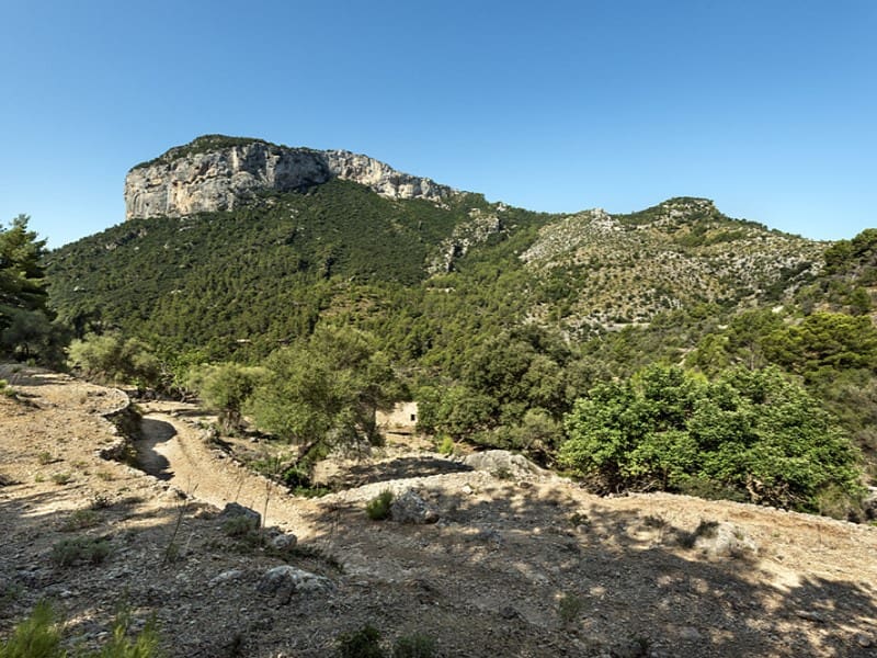 3 soverom Finca/Herregård til salgs i Alaro - € 2 500 000 (Ref: 9166088)