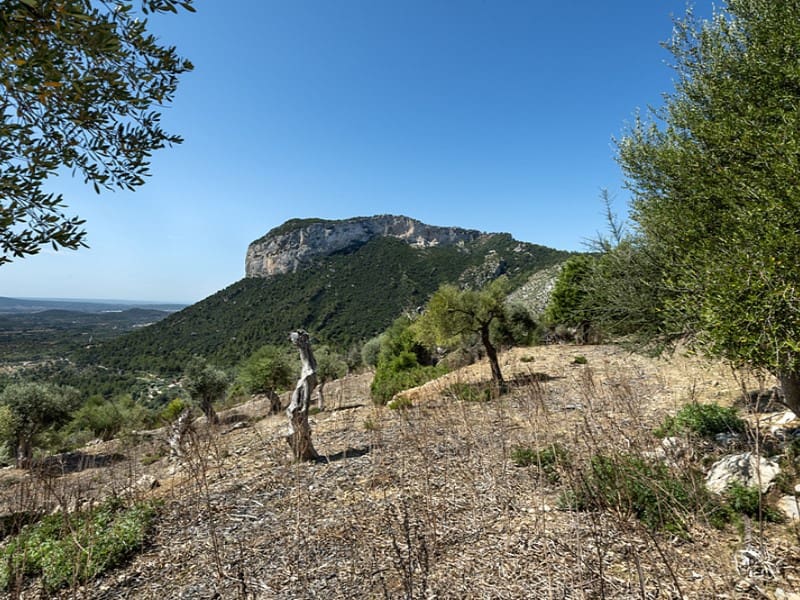 3 soverom Finca/Herregård til salgs i Alaro - € 2 500 000 (Ref: 9166088)