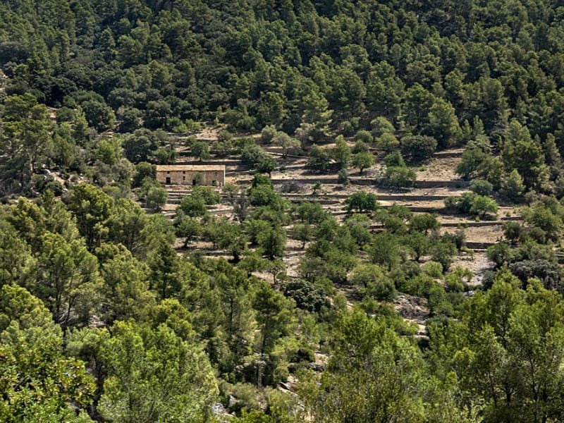 3 soverom Finca/Herregård til salgs i Alaro - € 2 500 000 (Ref: 9166088)