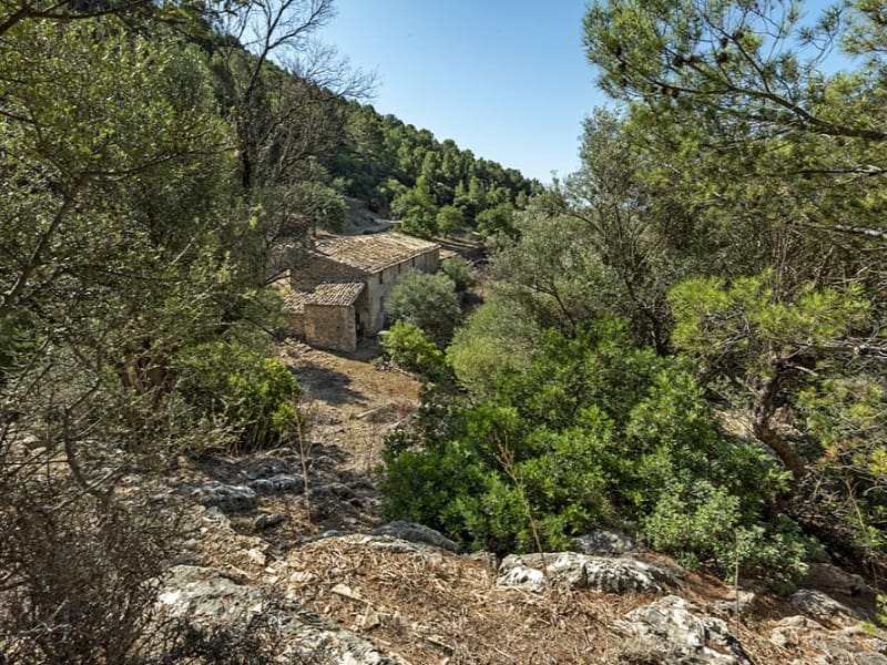 3 soverom Finca/Herregård til salgs i Alaro - € 2 500 000 (Ref: 9166088)