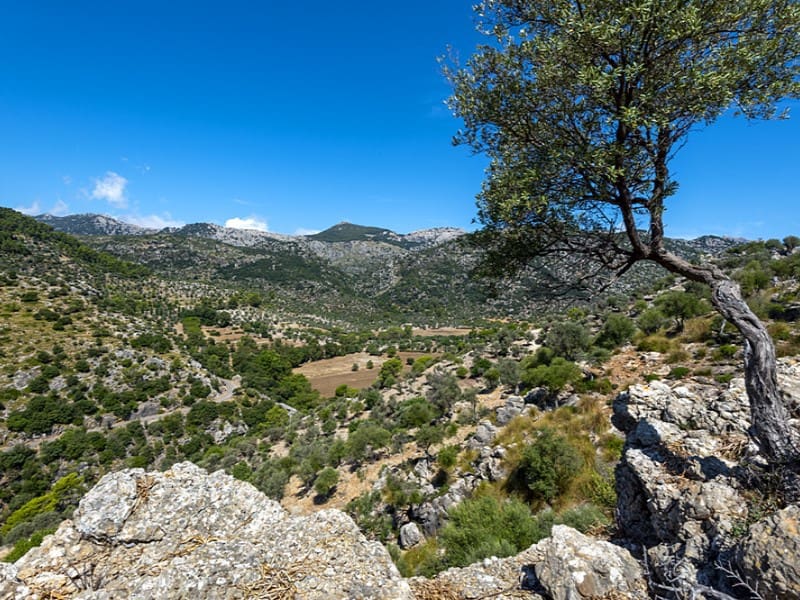 3 soverom Finca/Herregård til salgs i Alaro - € 2 500 000 (Ref: 9166088)