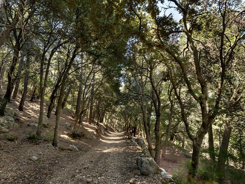 3 soverom Finca/Herregård til salgs i Alaro - € 2 500 000 (Ref: 9166088)