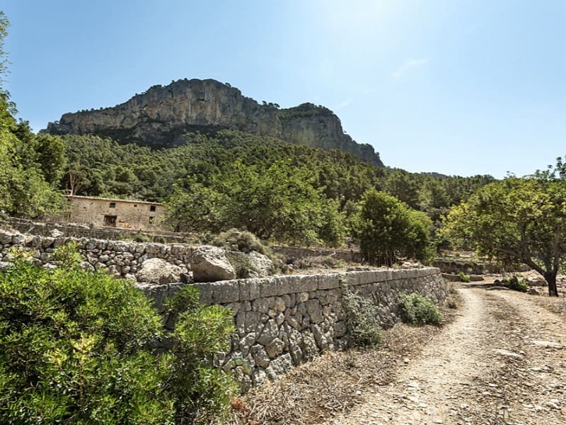 3 soverom Finca/Herregård til salgs i Alaro - € 2 500 000 (Ref: 9166088)