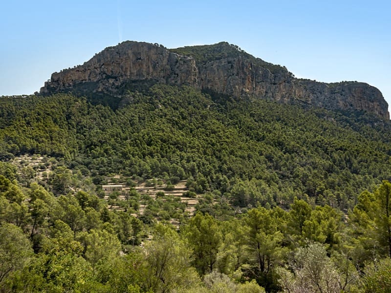 3 soverom Finca/Herregård til salgs i Alaro - € 2 500 000 (Ref: 9166088)