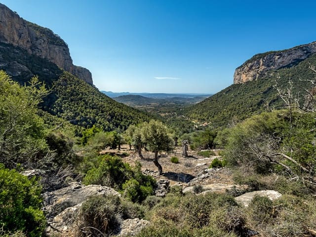 3 slaapkamer Finca/Landhuis te koop in Alaró - € 2.500.000 (Ref: 9166088)