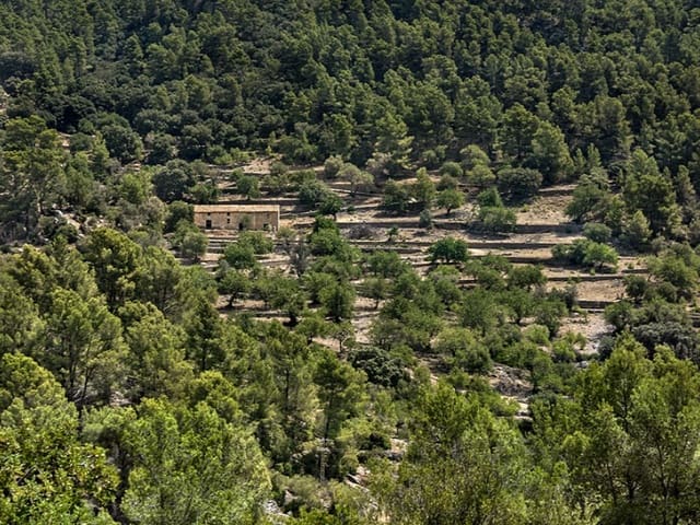3 slaapkamer Finca/Landhuis te koop in Alaró - € 2.500.000 (Ref: 9166088)