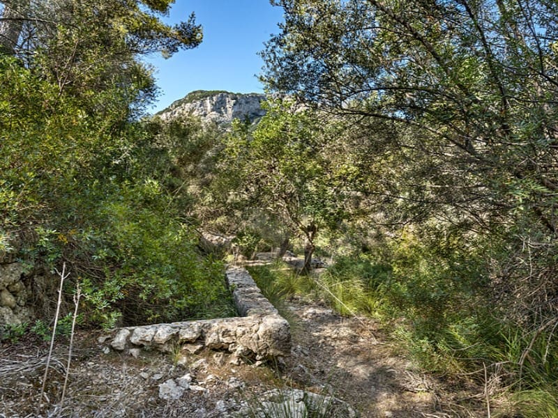 3 soverom Finca/Herregård til salgs i Alaro - € 2 500 000 (Ref: 9166088)