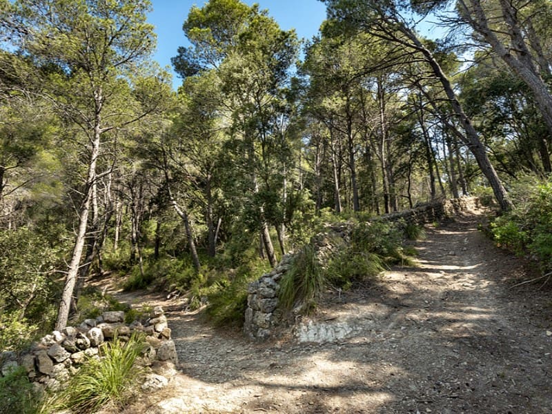 3 soverom Finca/Herregård til salgs i Alaro - € 2 500 000 (Ref: 9166088)