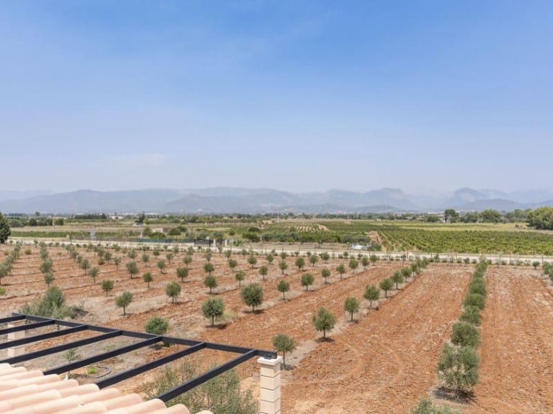 5 soveværelse Finca/Landehus til salg i Santa Maria del Cami med swimmingpool garage - € 4.100.000 (Ref: 9169854)