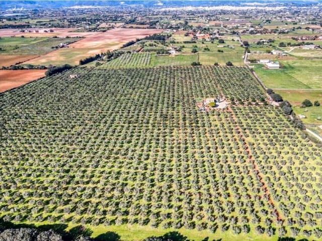 4 bedroom Finca/Country House for sale in Sencelles - € 3,700,000 (Ref: 9171573)