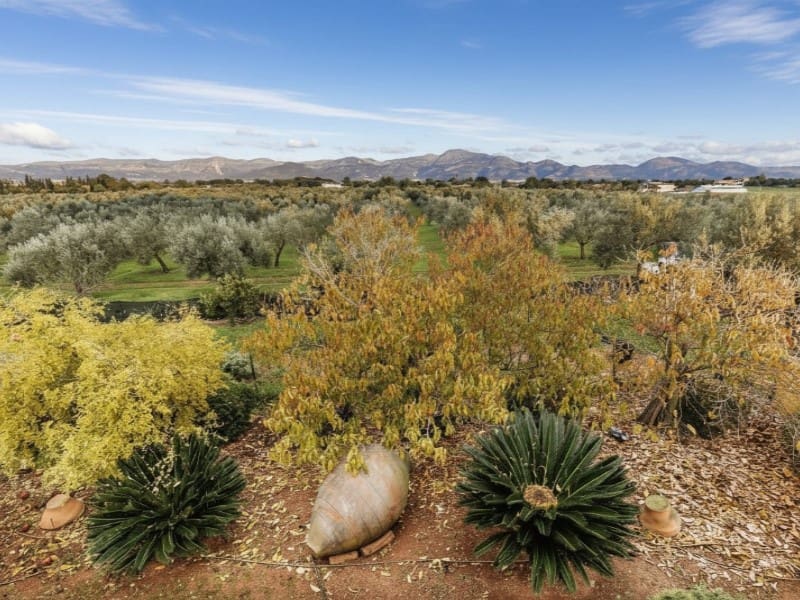 4 soveværelse Finca/Landehus til salg i Sencelles - € 3.700.000 (Ref: 9171573)