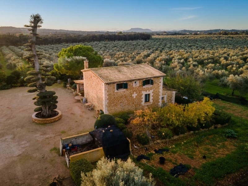 4 soveværelse Finca/Landehus til salg i Sencelles - € 3.700.000 (Ref: 9171573)