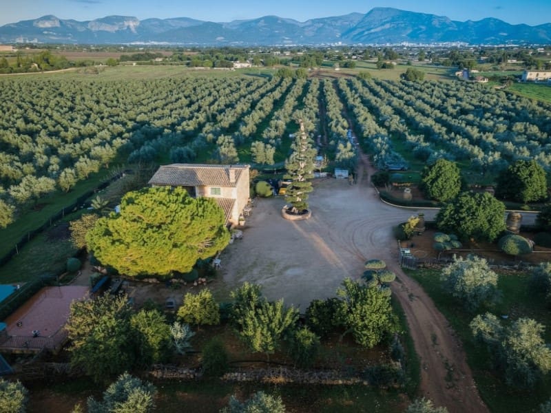 4 soveværelse Finca/Landehus til salg i Sencelles - € 3.700.000 (Ref: 9171573)