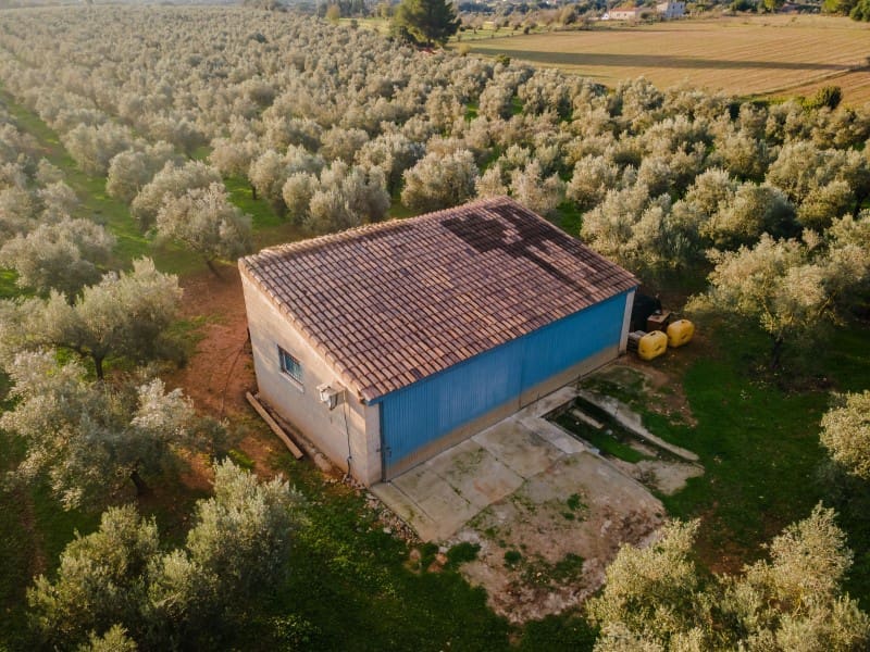 4 soveværelse Finca/Landehus til salg i Sencelles - € 3.700.000 (Ref: 9171573)