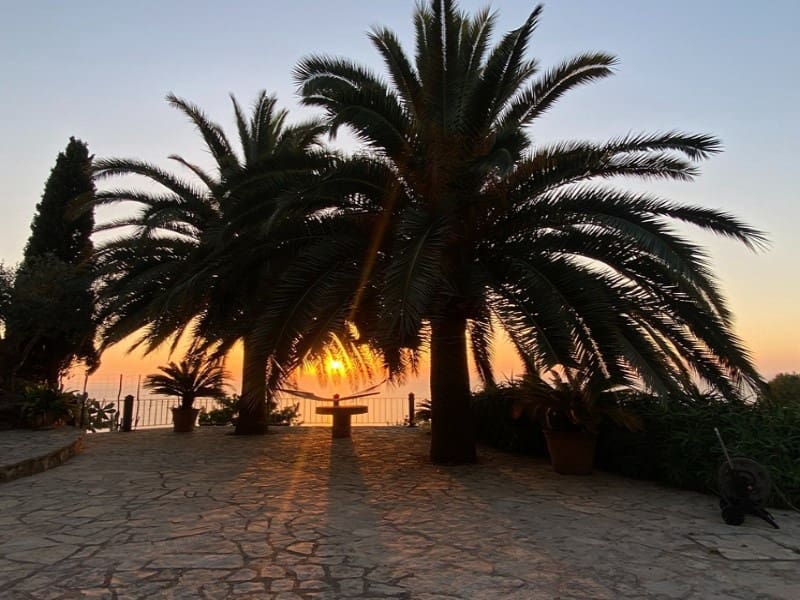 4 sypialnia Finka/Dom wiejski na sprzedaż w Soller z basenem - 5 950 000 € (Ref: 9171576)