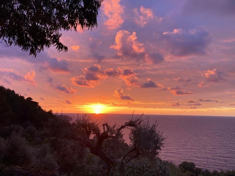 4 sypialnia Finka/Dom wiejski na sprzedaż w Soller z basenem - 5 950 000 € (Ref: 9171576)