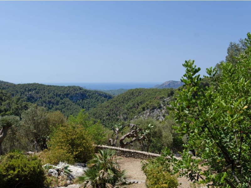 4 soveværelse Finca/Landehus til salg i Galilea med swimmingpool garage - € 3.950.000 (Ref: 9218757)