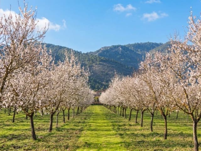 6 soveværelse Finca/Landehus til salg i Santa María del Camí med swimmingpool garage - € 8.500.000 (Ref: 9218758)