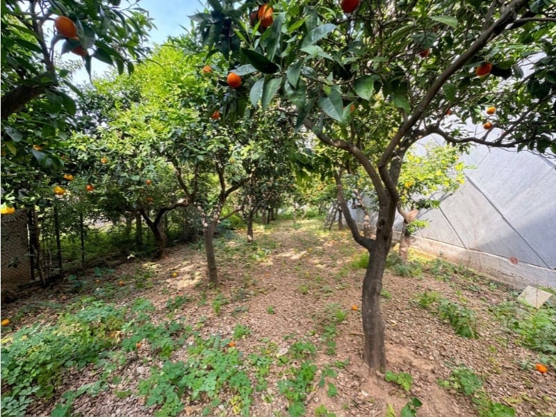 6 camera da letto Villa in vendita in Soller - 795.000 € (Rif: 9226858)