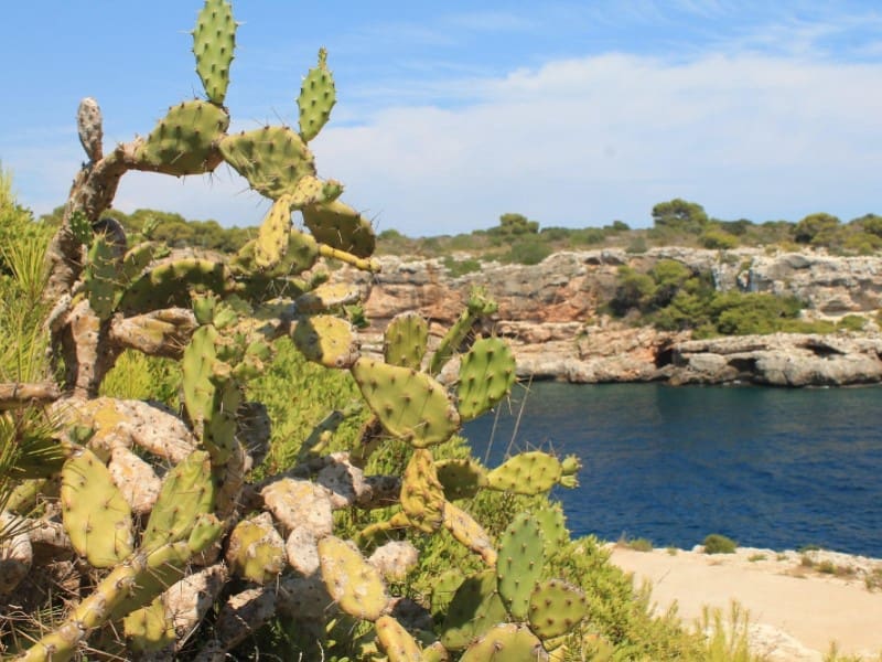 3 quarto Apartamento para venda em Alcudia - 1 250 000 € (Ref: 9226860)