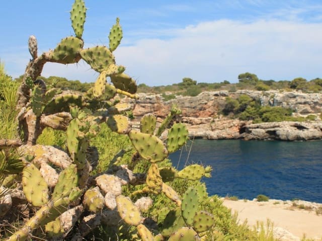 3 chambre Appartement à vendre à Alcúdia - 1 250 000 € (Ref: 9226860)