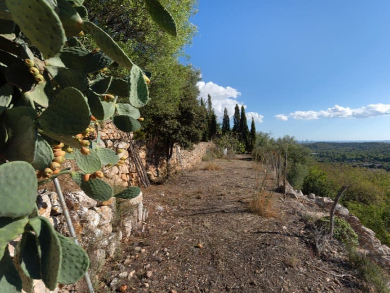 5 sypialnia Willa na sprzedaż w Bunyola z basenem - 975 000 € (Ref: 9236943)