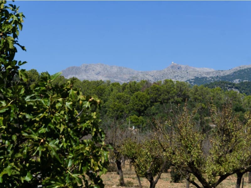 2 slaapkamer Finca/Landhuis te koop in Binissalem met zwembad - € 640.000 (Ref: 9264737)