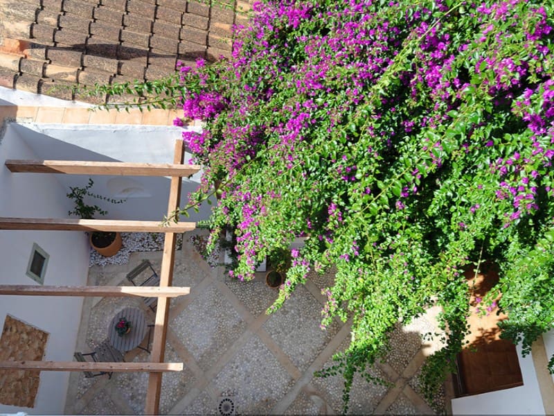 3 sypialnia Willa na sprzedaż w Santa Maria del Cami - 890 000 € (Ref: 9291416)