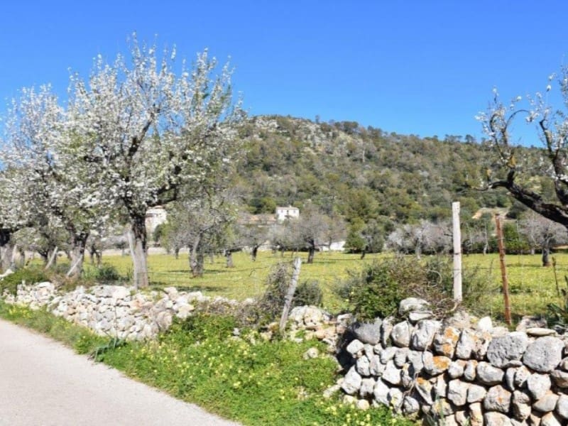 Finca/Casa Rural de 2 habitaciones en Lloseta en venta - 480.000 € (Ref: 9379216)