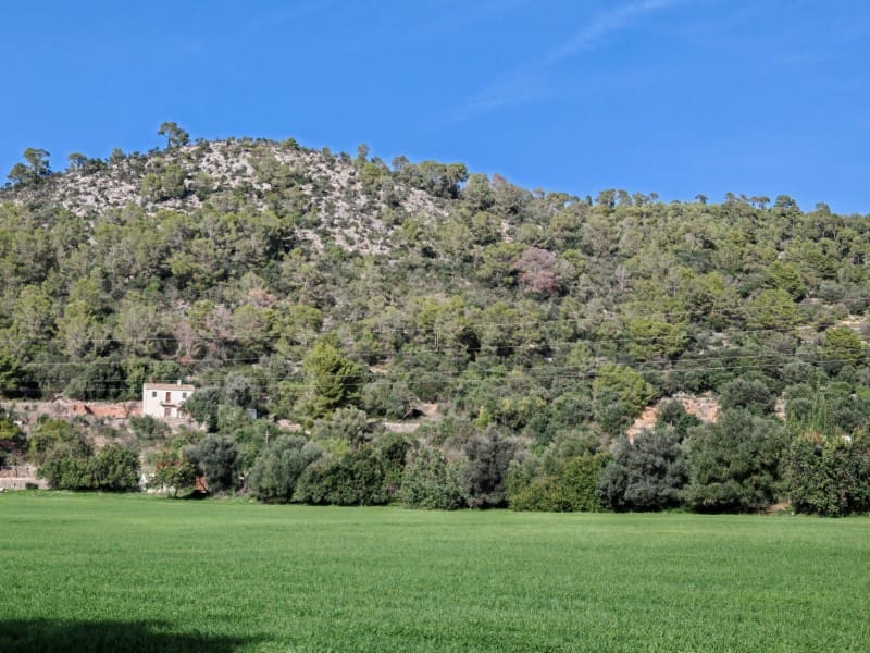 Finca/Casa Rural de 2 habitaciones en Lloseta en venta - 480.000 € (Ref: 9379216)