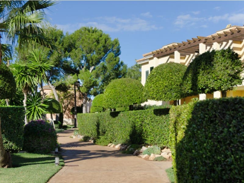 2 bedroom Apartment for sale in Campos - € 580,000 (Ref: 9383295)