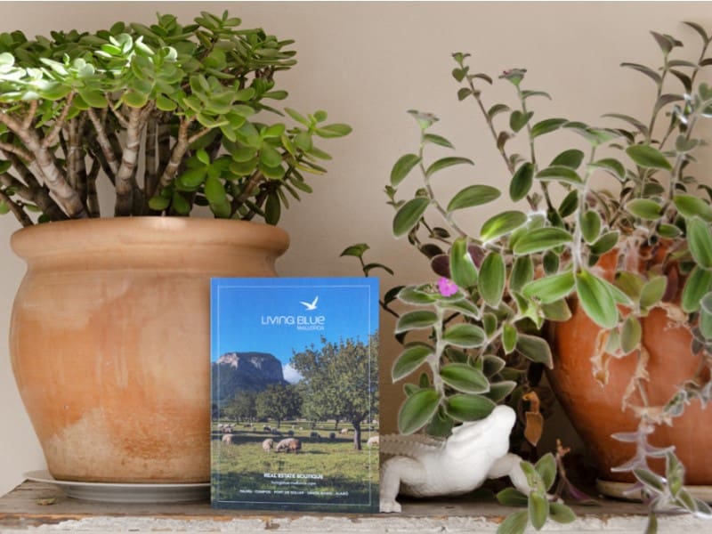 3 quarto Moradia para venda em Santa Maria del Cami com piscina - 849 000 € (Ref: 9400803)