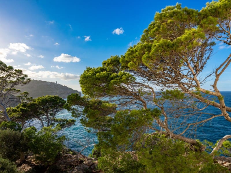 3 bedroom Apartment for sale in Soller - € 1,100,000 (Ref: 9411249)