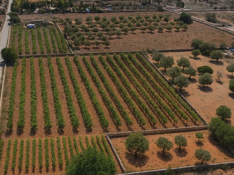 Ubebygd land til salgs i Llucmajor - € 599 000 (Ref: 9423934)