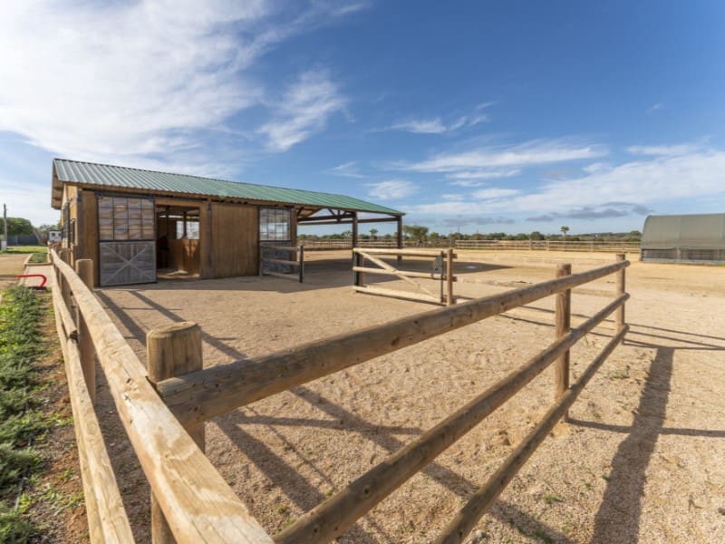 3 chambre Villa/Maison à vendre à Llucmajor avec piscine - 6 300 000 € (Ref: 9449460)