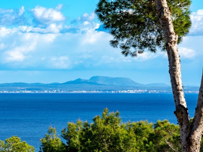 5 soveværelse Villa til salg i Sol de Mallorca med swimmingpool - € 2.350.000 (Ref: 9456439)