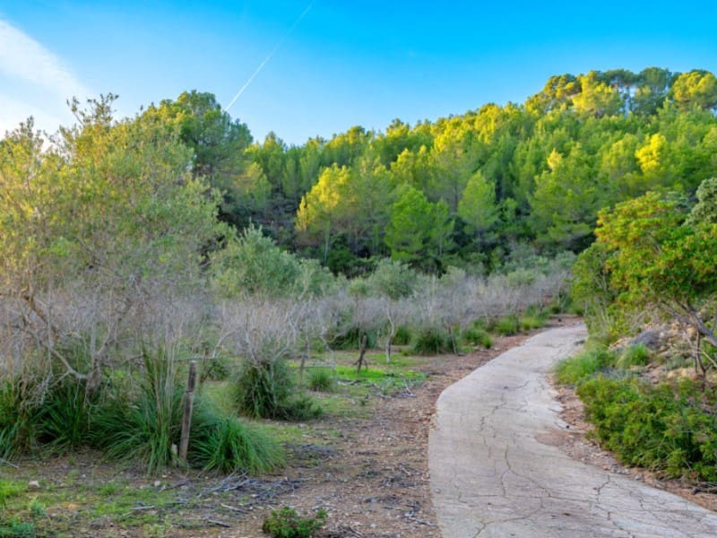 6 camera da letto Finca/Casa di Campagna in vendita in Esporles con piscina - 3.000.000 € (Rif: 9466069)