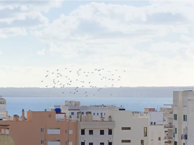 3 slaapkamer Appartement te koop in Son Espanyolet, Palma de Mallorca - € 469.000 (Ref: 9485229)