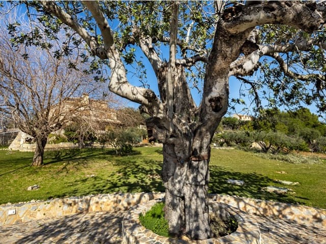 8 sypialnia Finka/Dom wiejski na sprzedaż w Inca z basenem garażem - 3 950 000 € (Ref: 9524684)