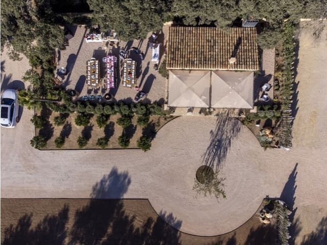 Mark till salu i Costitx - 980 000 € (Ref: 9528395)