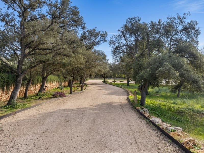 Mark till salu i Costitx - 980 000 € (Ref: 9528395)