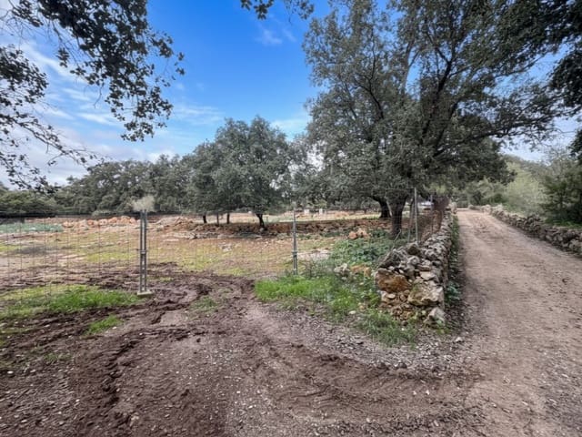 Mark till salu i Costitx - 980 000 € (Ref: 9528395)