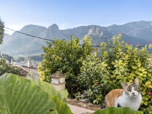 3 soverom Villa til salgs i Bunyola - € 600 000 (Ref: 9528396)