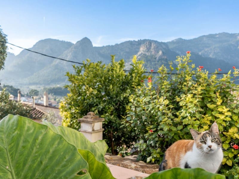 3 bedroom Villa for sale in Bunyola - € 600,000 (Ref: 9528396)