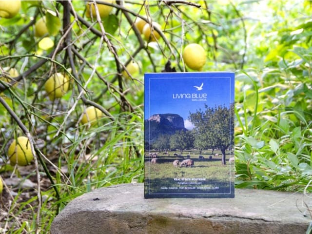 4 sypialnia Willa na sprzedaż w Binissalem z basenem garażem - 495 000 € (Ref: 9536071)