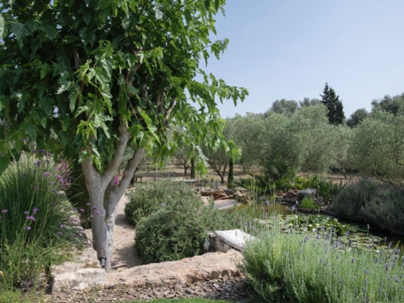 4 soveværelse Finca/Landehus til salg i Llubi med swimmingpool - € 2.750.000 (Ref: 9543458)