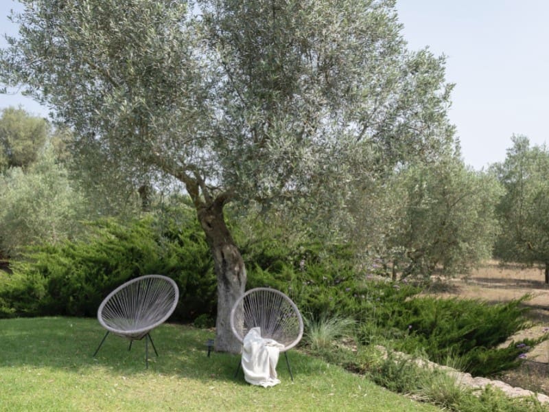 4 soveværelse Finca/Landehus til salg i Llubi med swimmingpool - € 2.750.000 (Ref: 9543458)