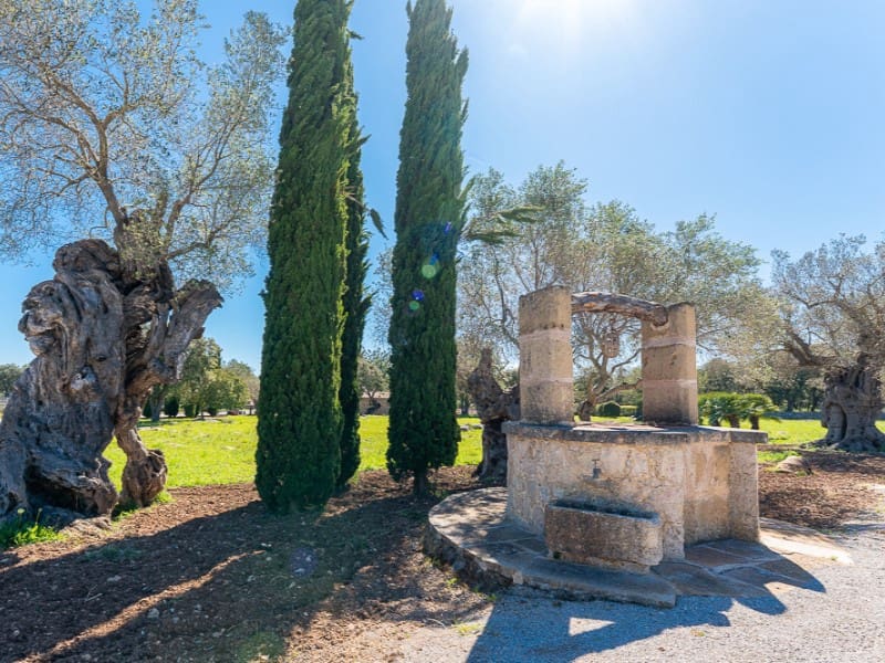 6 bedroom Finca/Country House for sale in Pollensa / Pollenca with pool garage - € 7,650,000 (Ref: 9565366)