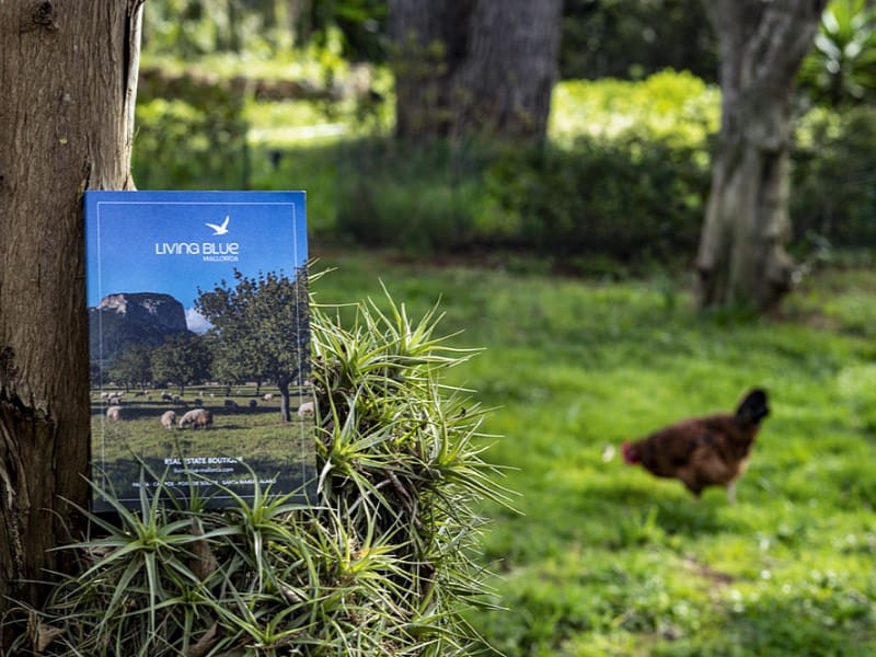 5 bedroom Finca/Country House for sale in Sencelles with pool - € 1,550,000 (Ref: 9568895)